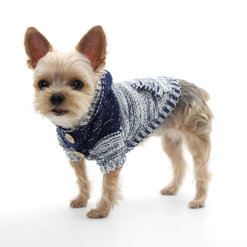 Gradient Hooded Sweater