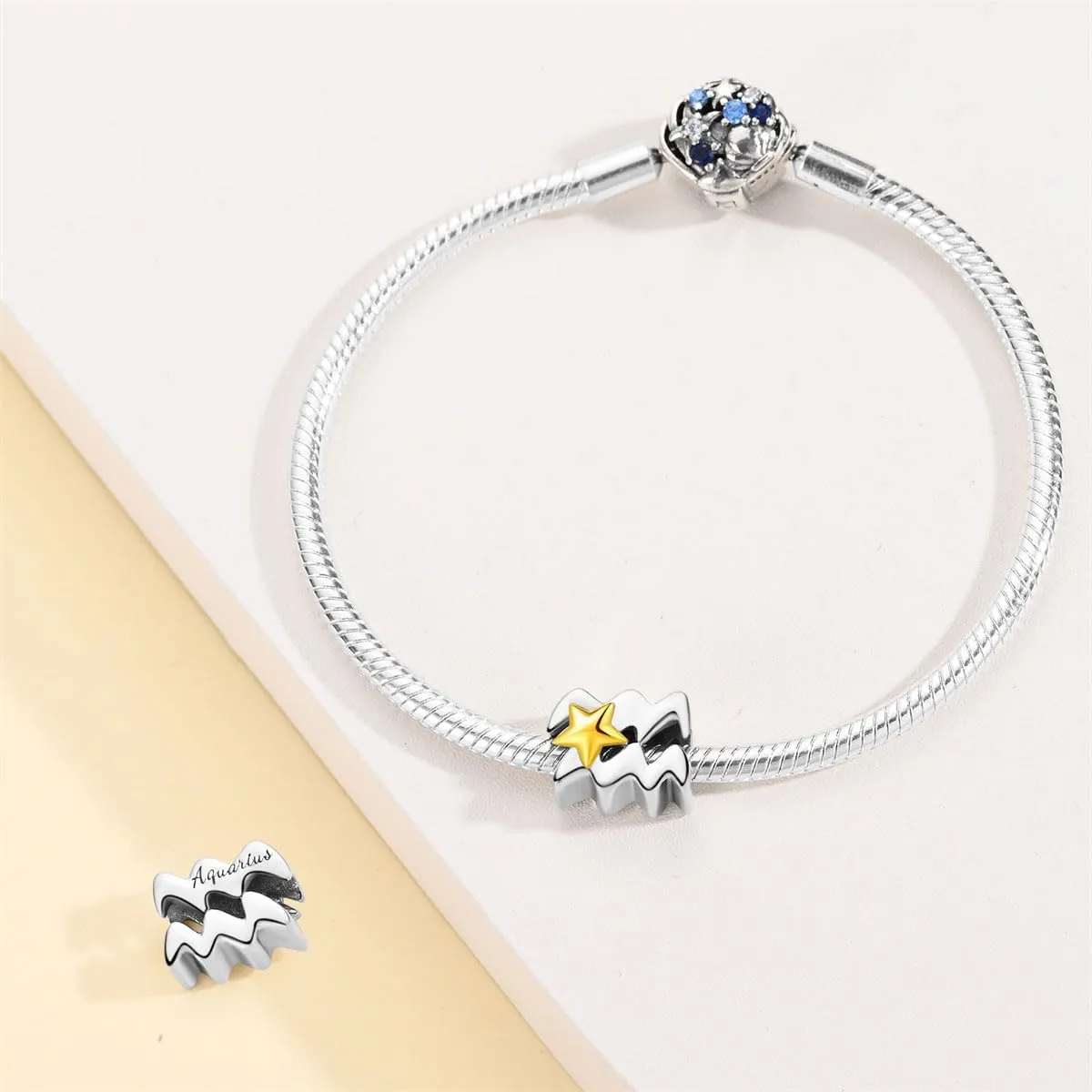 Silver Charms for Pandora Bracelets and Necklaces 12 Horoscope Pendant for Women Jewelry Gifts