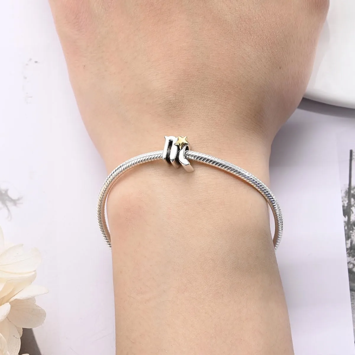 Silver Charms for Pandora Bracelets and Necklaces 12 Horoscope Pendant for Women Jewelry Gifts