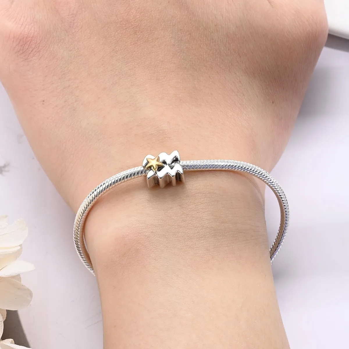 Silver Charms for Pandora Bracelets and Necklaces 12 Horoscope Pendant for Women Jewelry Gifts